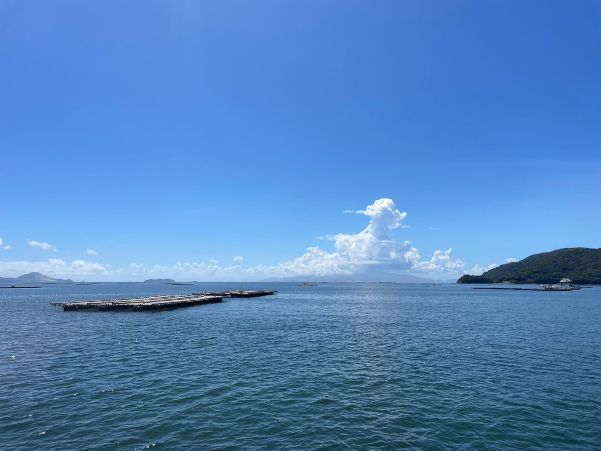 晴れた空の下、青い海に牡蠣の筏が浮かび、遠くに島と山が見える