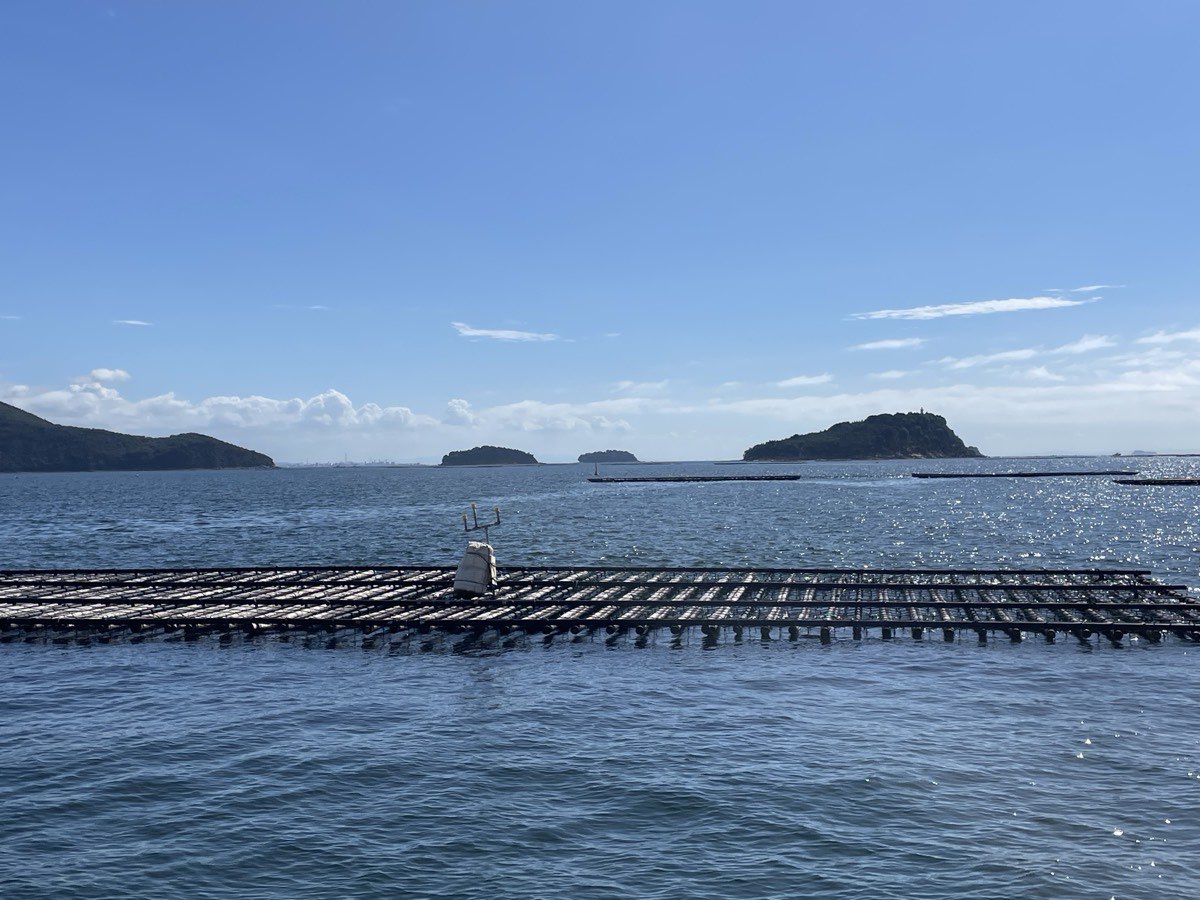 青い海に、牡蠣を育てる筏が横に長く浮かんでいる